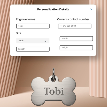 Custom Input